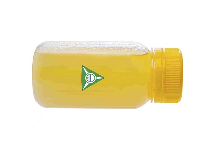 RBD_PALM_OIL_PIC2.jpg